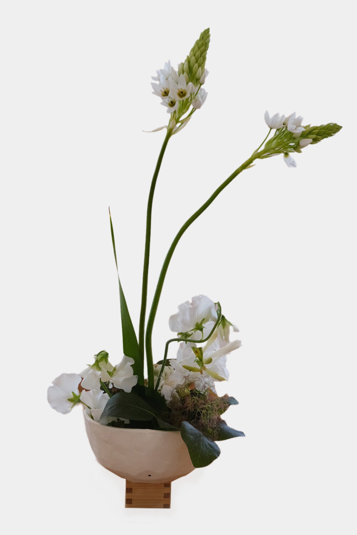 Annabel Scanlen, Untitled Vase