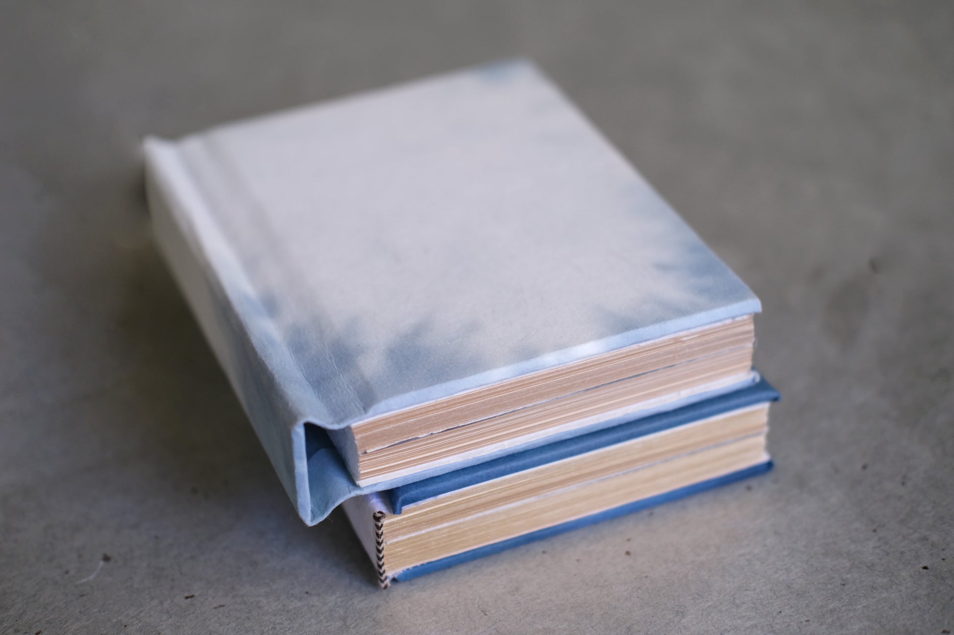 Soomin Shin, The Ghost of the Maker Is Inside the Book, 2025 (Softcover light blue 2/5)