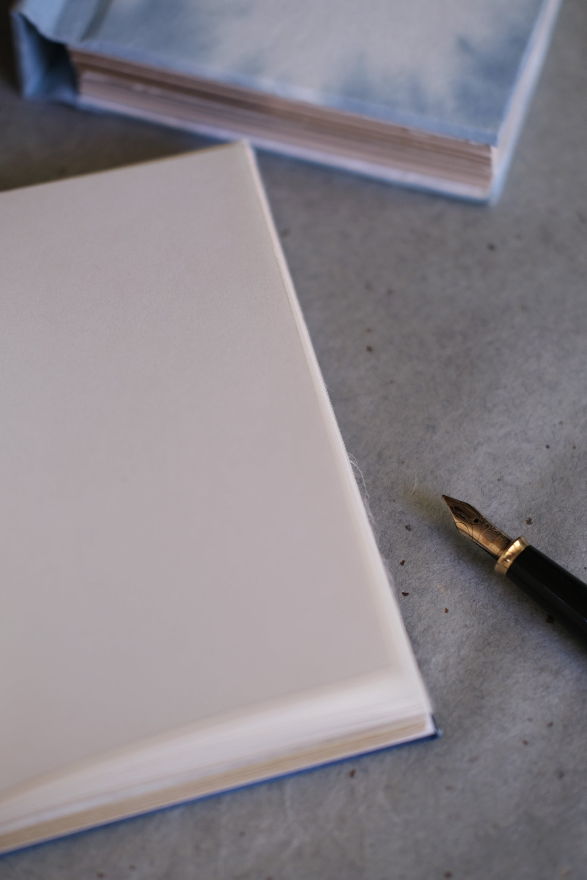 Soomin Shin, The Ghost of the Maker Is Inside the Book, 2025 (Softcover light blue 2/5)