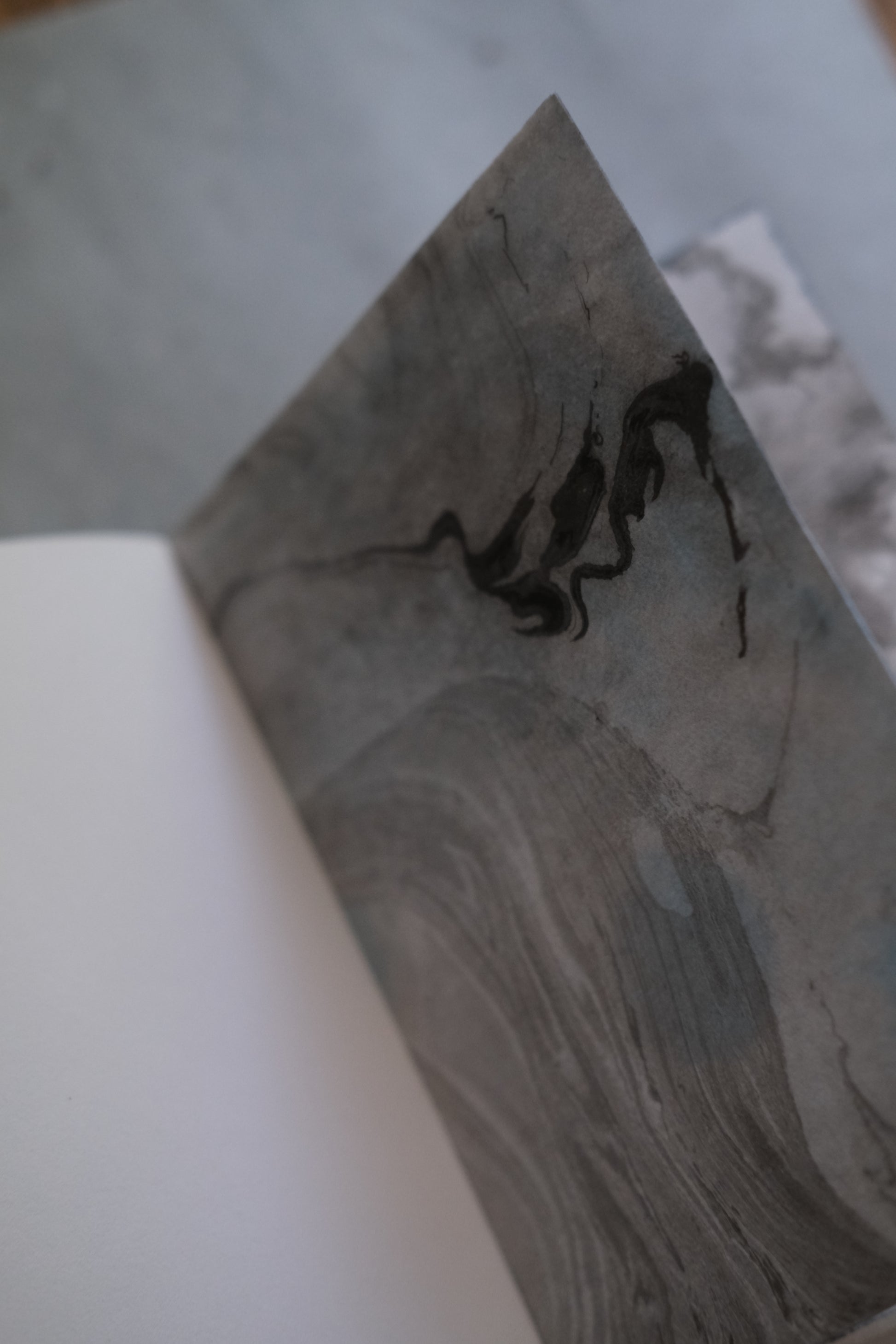 Soomin Shin, The Ghost of the Maker Is Inside the Book (Hardcover light blue 1/5), 2025