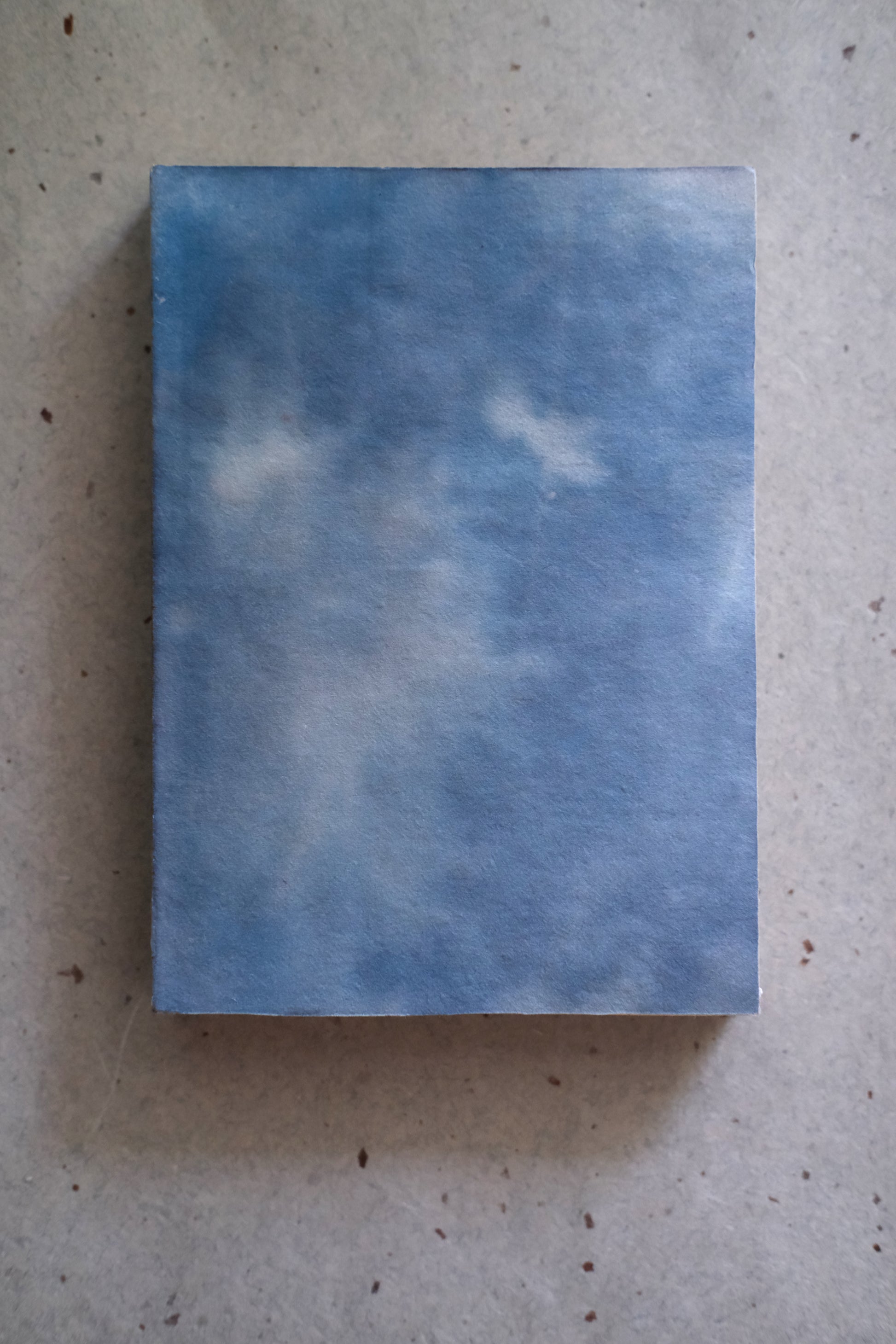 Soomin Shin, The Ghost of the Maker Is Inside the Book, 2025 (Softcover light blue 2/5)