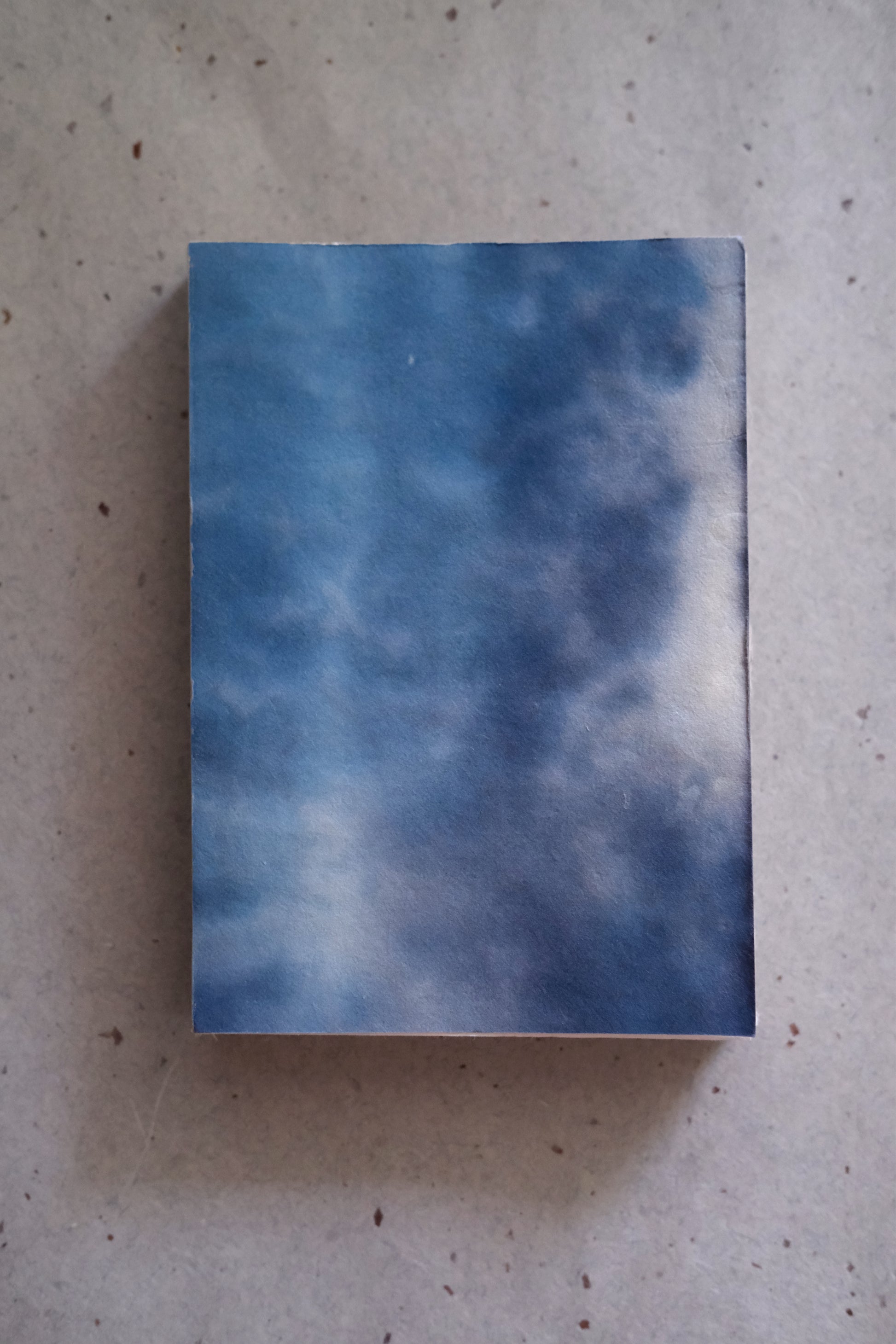 Soomin Shin, The Ghost of the Maker Is Inside the Book, 2025 (Softcover dark blue 3/5)