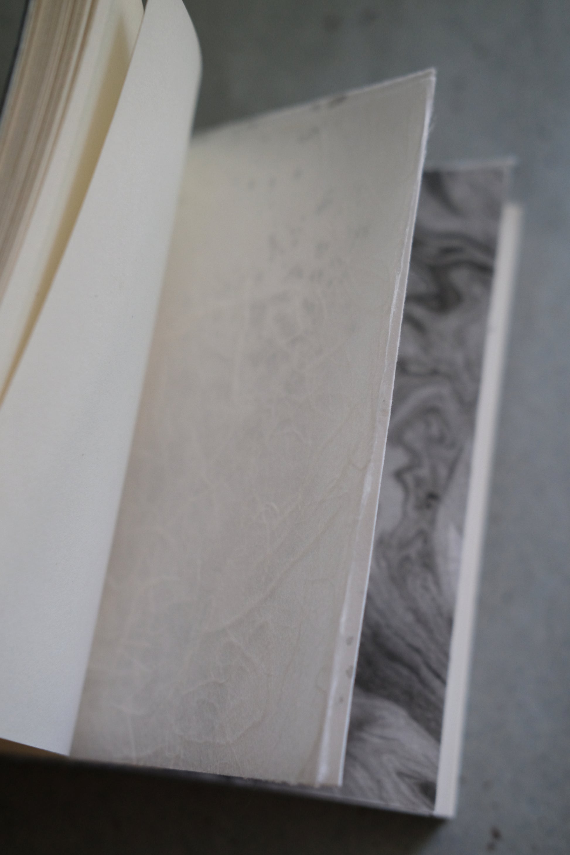 Soomin Shin, The Ghost of the Maker Is Inside the Book, 2025 (Softcover dark blue 3/5)