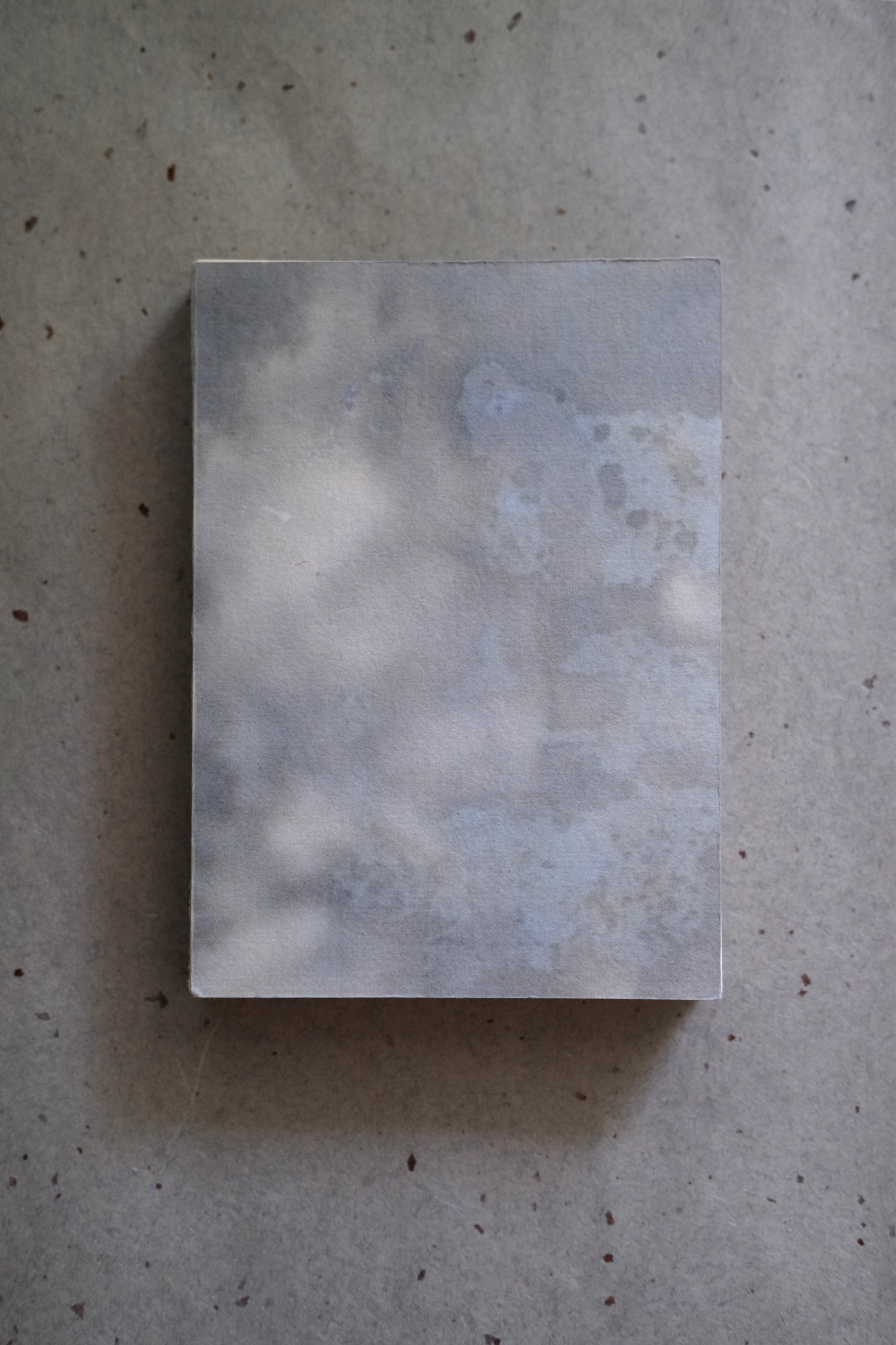 Soomin Shin, The Ghost of the Maker Is Inside the Book, 2025 (Softcover light blue 4/5)