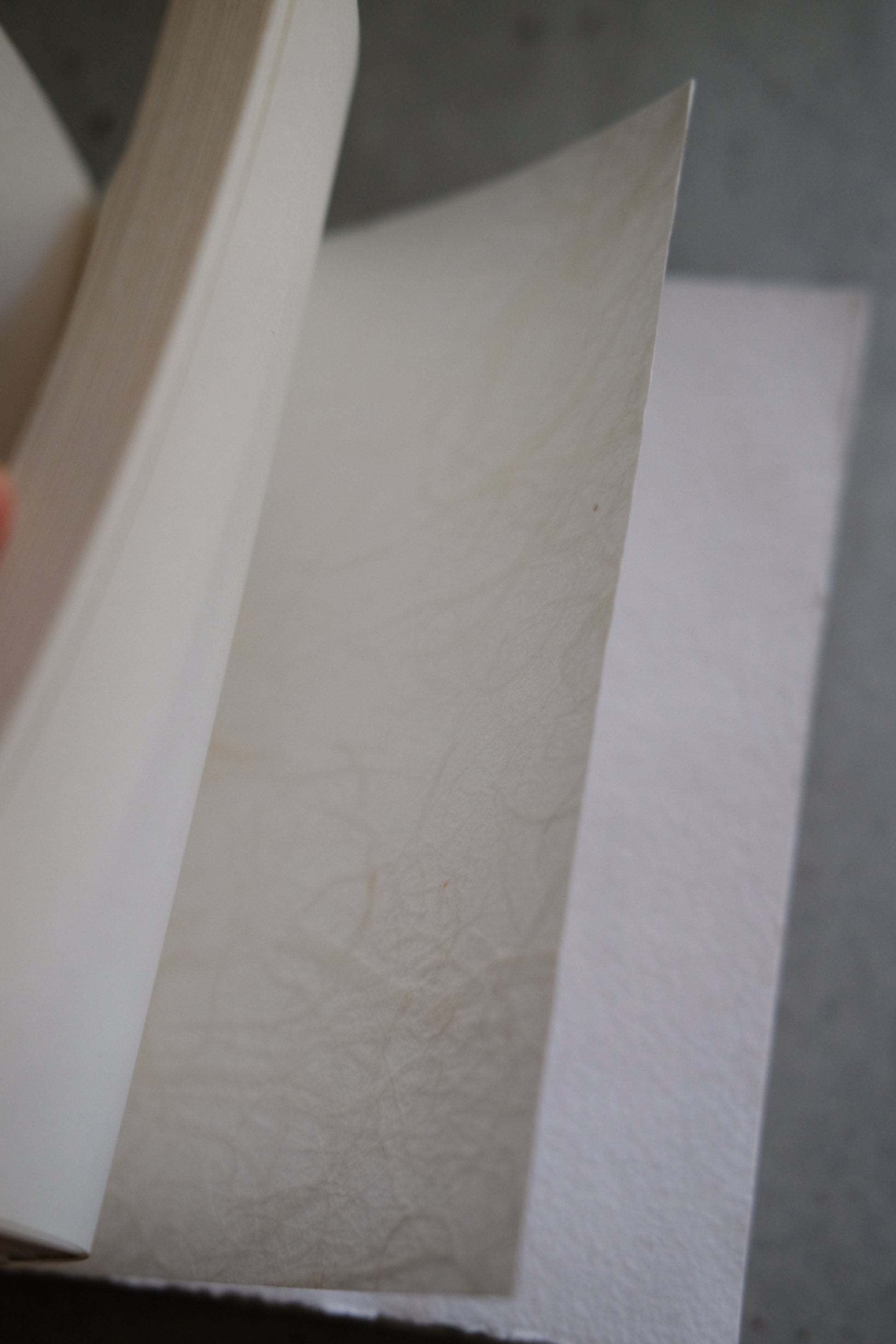 Soomin Shin, The Ghost of the Maker Is Inside the Book, 2025 (Softcover light blue 4/5)