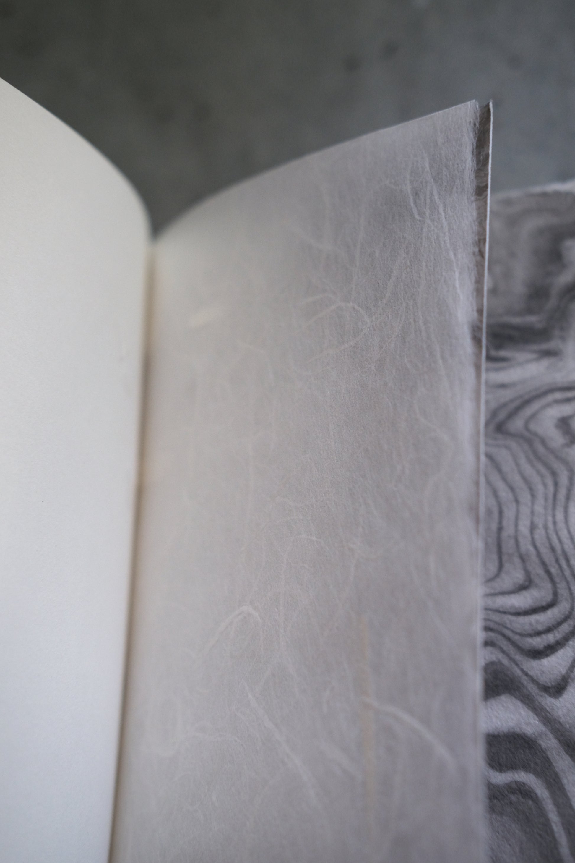 Soomin Shin, The Ghost of the Maker Is Inside the Book, 2025 (Hardcover dark blue 5/5)